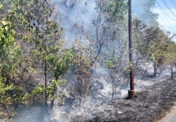 Cuaca Panas, Api Melahap 2 Hektare Lahan disamping jalan Nasional