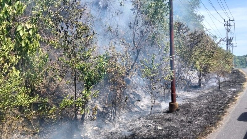 Cuaca Panas, Api Melahap 2 Hektare Lahan disamping jalan Nasional