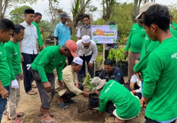 600 Pohon Mangga Ditanam di Aceh Utara, Ditarget Jadi Sumber Pendapatan Warga