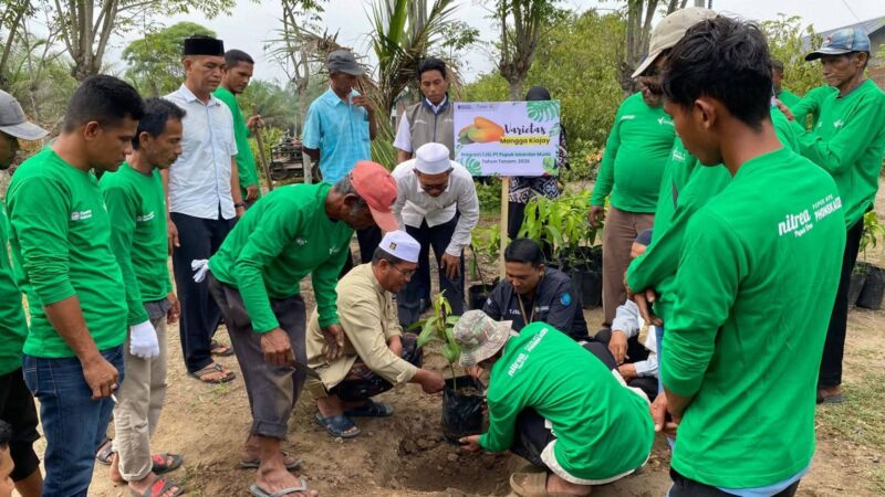 600 Pohon Mangga Ditanam di Aceh Utara, Ditarget Jadi Sumber Pendapatan Warga