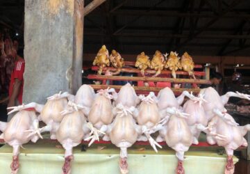 Pasokan Menipis, Harga Ayam di Pasar Al-Mahirah Banda Aceh Naik Jadi Rp75 Ribu per Ekor