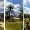 Rentetan Letusan Senjata Api Warnai Aksi Massa di Kawasan PT Bumi Flora