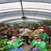 Disnaker Asahan Kunjungi Socpindo Pelajari Pengolahan Produk Herbal