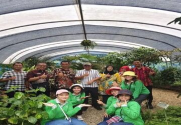 Disnaker Asahan Kunjungi Socpindo Pelajari Pengolahan Produk Herbal