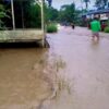 Banjir Aceh Tenggara Meluas ke Enam Kecamatan, Jalan Nasional Tak Bisa Dilalui