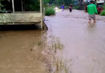 Banjir Aceh Tenggara Meluas ke Enam Kecamatan, Jalan Nasional Tak Bisa Dilalui