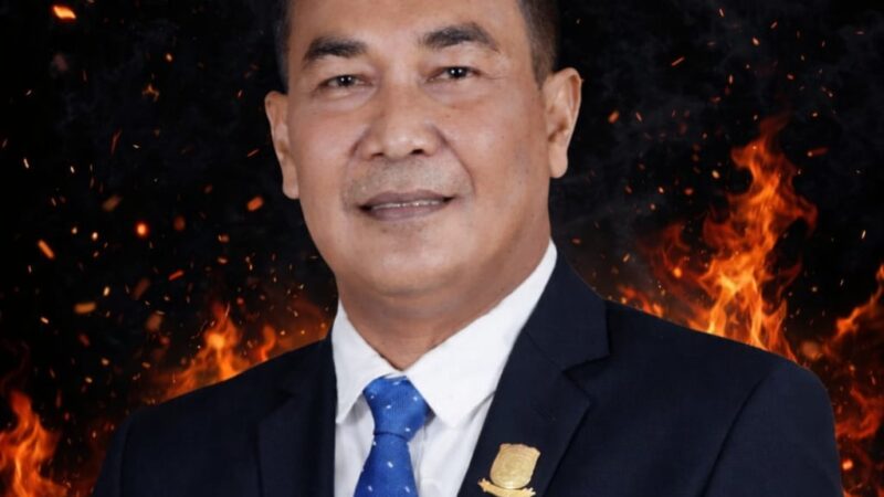 Ismawardi Apresiasi Gerak Cepat DLHK3 Bersihkan Dahan Pohon
