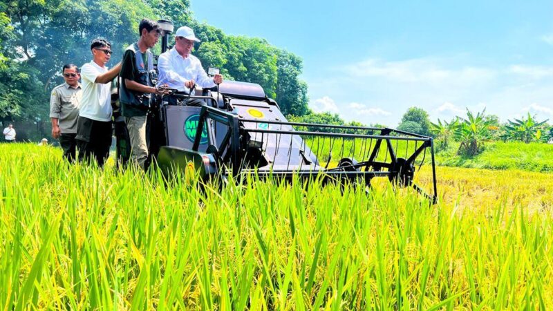 Produksi Beras Indonesia Naik 13,29 Persen