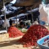 Harga Cabe di Panton Labu Tembus Rp60 Ribu Per Kilogram